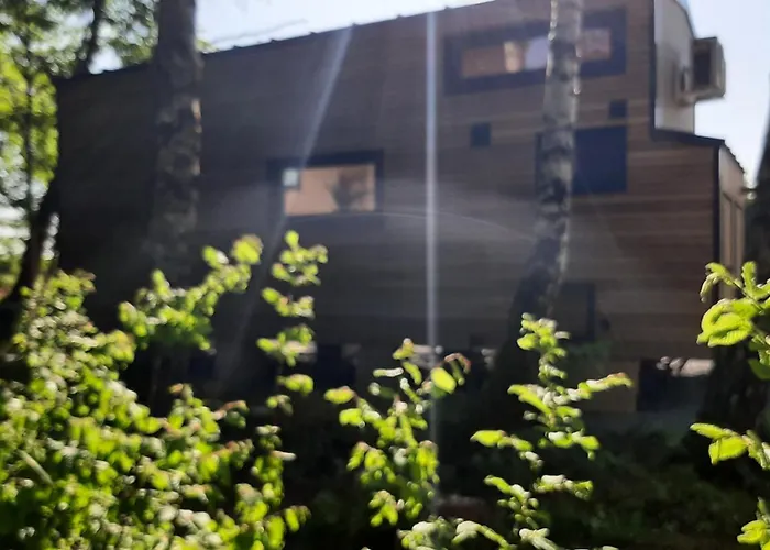 Tiny Gaumaise - Tiny House A Saint-Leger